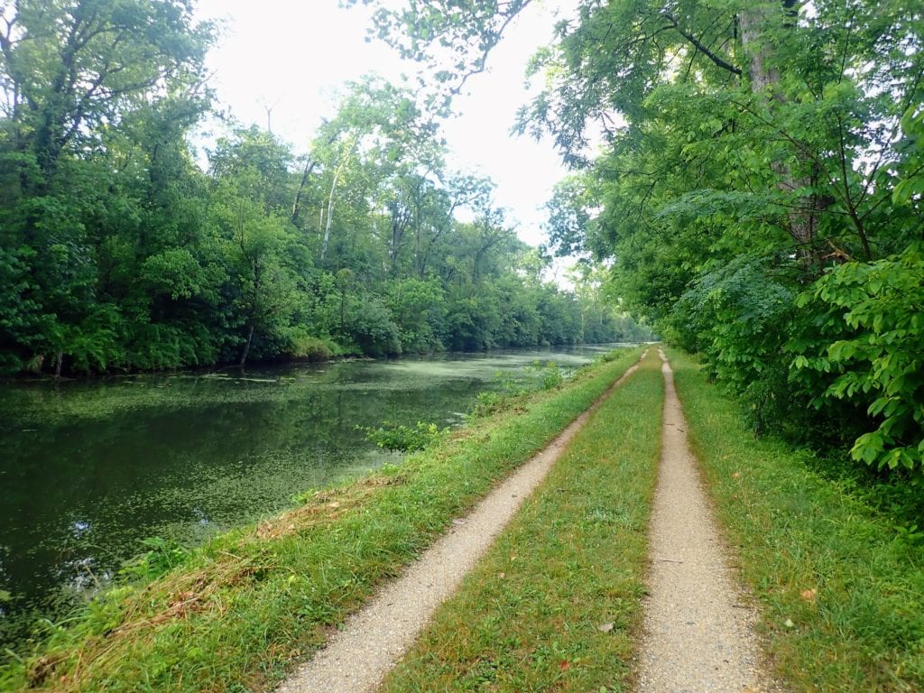 Grassy doubletrack bike trail beside canal on the C&O Towpath Trail