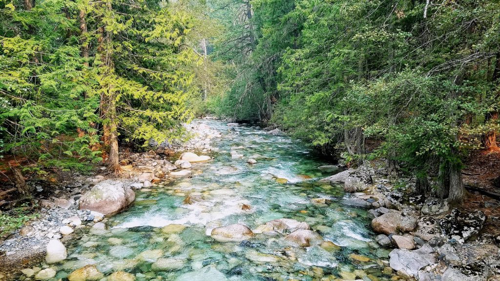 Stream crossing in North Cascades