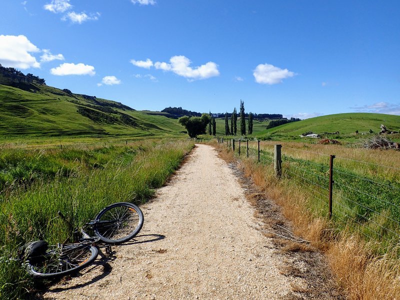 alps 2 ocean cycle trail