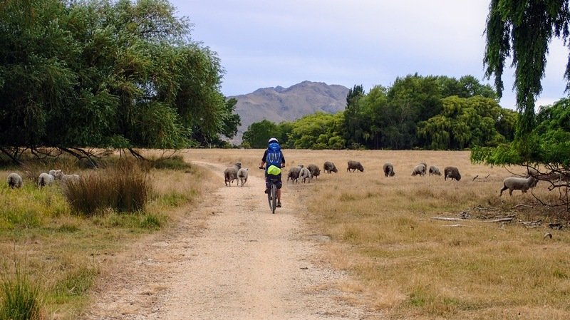 cycle trail