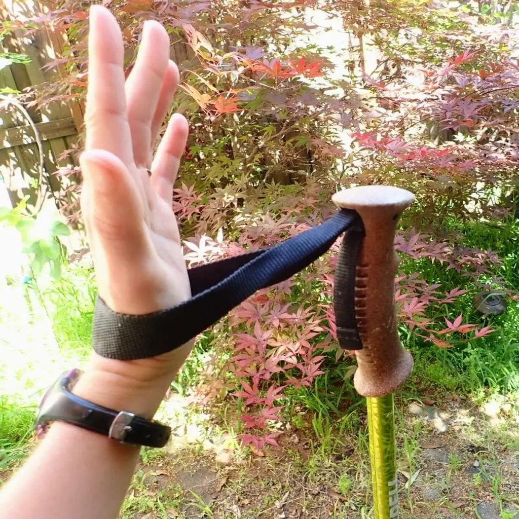 How To Use Hiking Poles (+ Buying Guide) | Exploring Wild