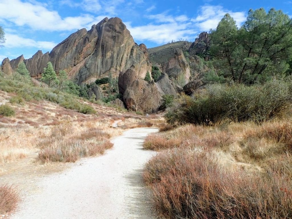 Flat trail leads to cliffs in Pinnacles National Park