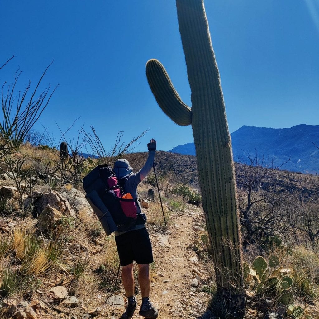 Backpacker reaches up to high-five a giant saguaro cactus