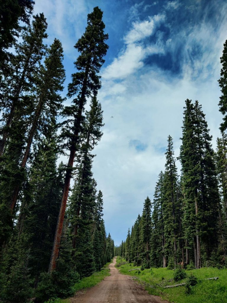 tour divide new mexico