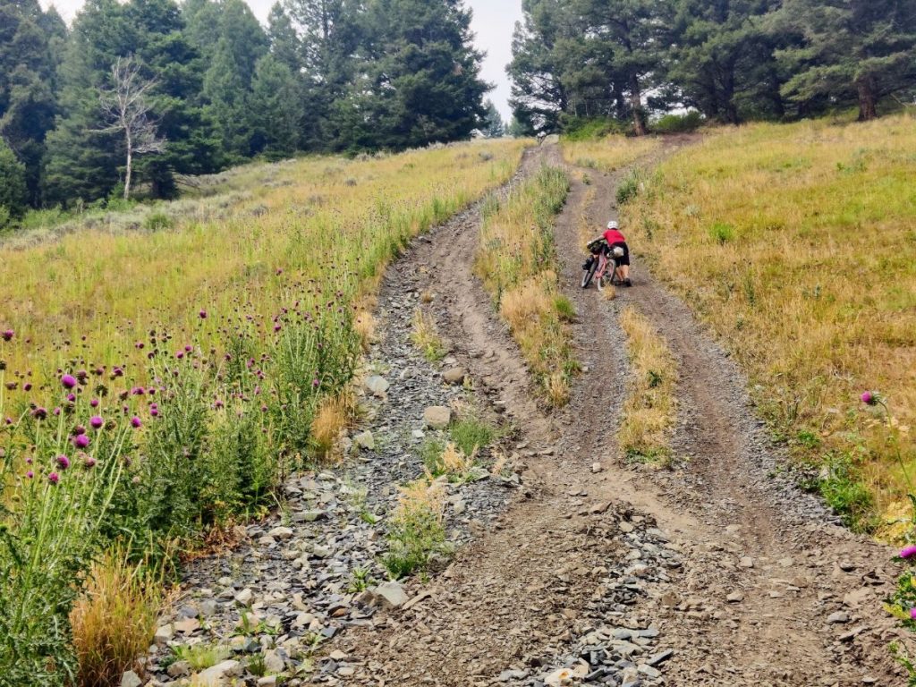 velo tour divide