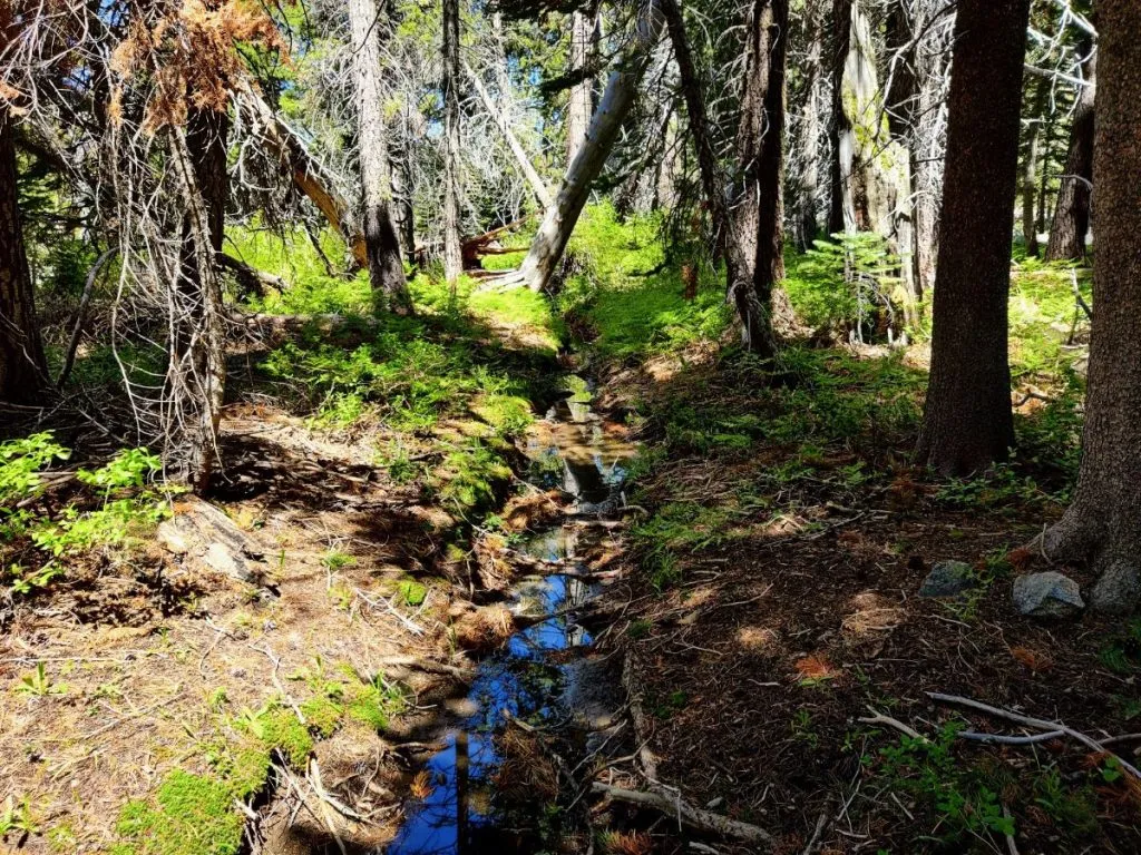 Backpacker’s Guide to Desolation Wilderness (With Route Ideas for All Levels)