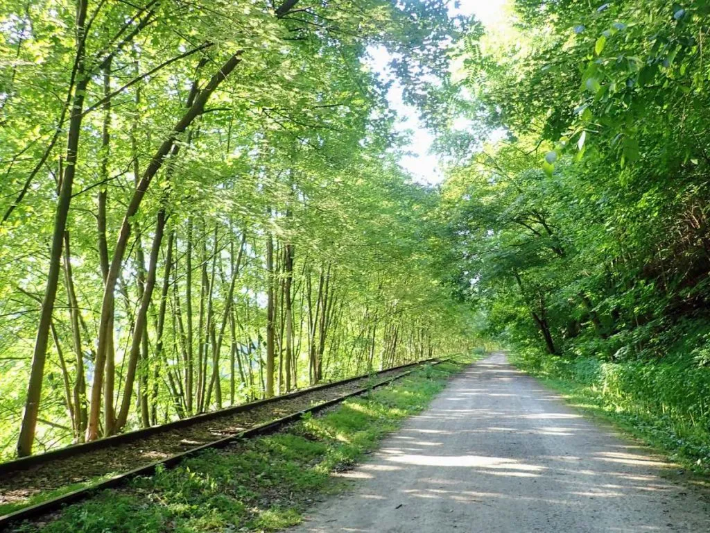 7 Long Rail Trails in the US Perfect For Bike Touring - Exploring Wild