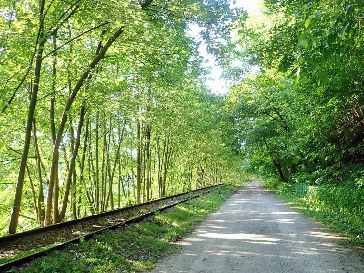 This State Has the Longest Paved Rail Trail in the Country