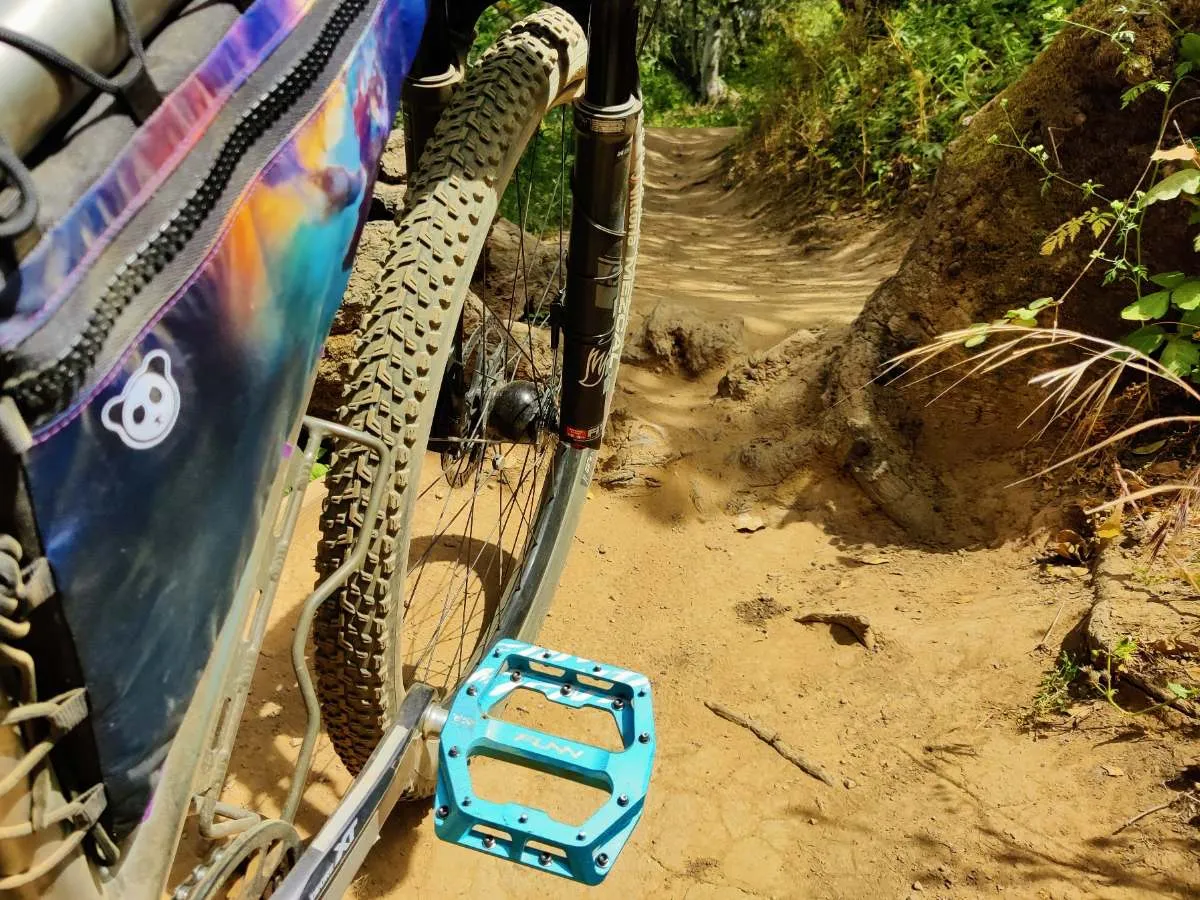 Pedals for Bikepacking Find Your Spot on the WalkRide Spectrum